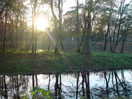 Sügisene päikeseloojang Saku mõisapargis. On vaikuse aeg ja õhk on hingekesi täis. Mardi- ja kadrisantide jooksmised on Eestis alles ees. Foto: Reigo Lehtla - pics/2004/hgl1.jpg
