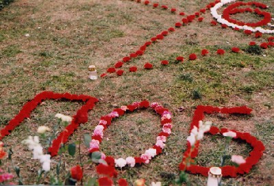 Teises maailmasõjas hukkunud punaarmeelaste mälestusmärgi, Tallinna Tõnismäe pronkssõduri ees oli lillemerele lisaks ka kompositsioon. Nelgiõitest oli murule laotatud viisnurk, mille keskel aastate arv sõja lõpust – 60 ja alla kirjutatud POBEDA! (võit). Fotol on näha sõna esimest kolm tähte. - pics/2005/10056_1.jpg