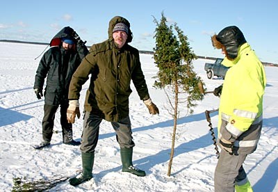 Men from the island of Vormsi drill holes in the ice and mark the traversable route with junipers. Photo: Arvo Tarmula, Lääne Elu - pics/2006/12724_4.jpg